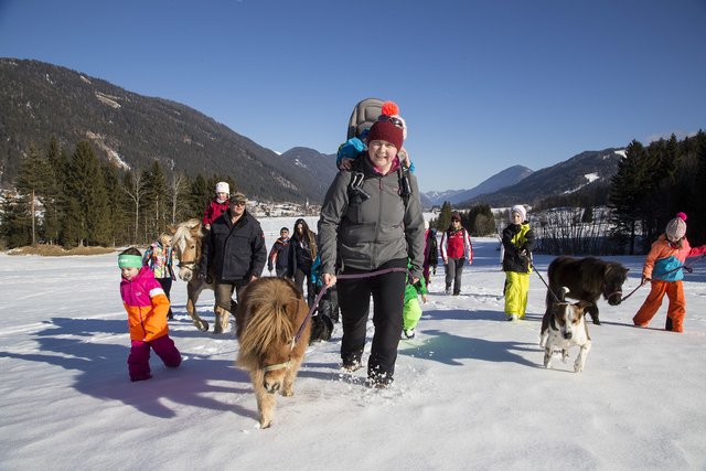 Unterwegs am Eis kann man am Weißensee auf viele Arten sein. Auch den Vierbeinern macht ein Ausflug Freude | Foto: Weissensee Information
