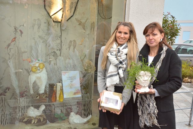  „Wellkamm“ Erika Grüll
Mit viel Liebe zum Detail hat Erika Grüll die Auslage ihres Frisiersalons „Wellkamm“ (Donaugasse 4-6) gestaltet – außergewöhnliche Dekorationsideen, Pflanzenelemente und Vögel werden zu einem liebevoll und kreativ gestalteten „Wintergarten“, der besonders Abends eine ganz spezielle Wirkung entfaltet. Ein Besuch im Salon ist ideal für einen Urlaub zwischendurch, um dem Weihnachtsstress zu entfliehen und sich mit einem neuen Styling zu verwöhnen.
 | Foto: Stadt Tulln