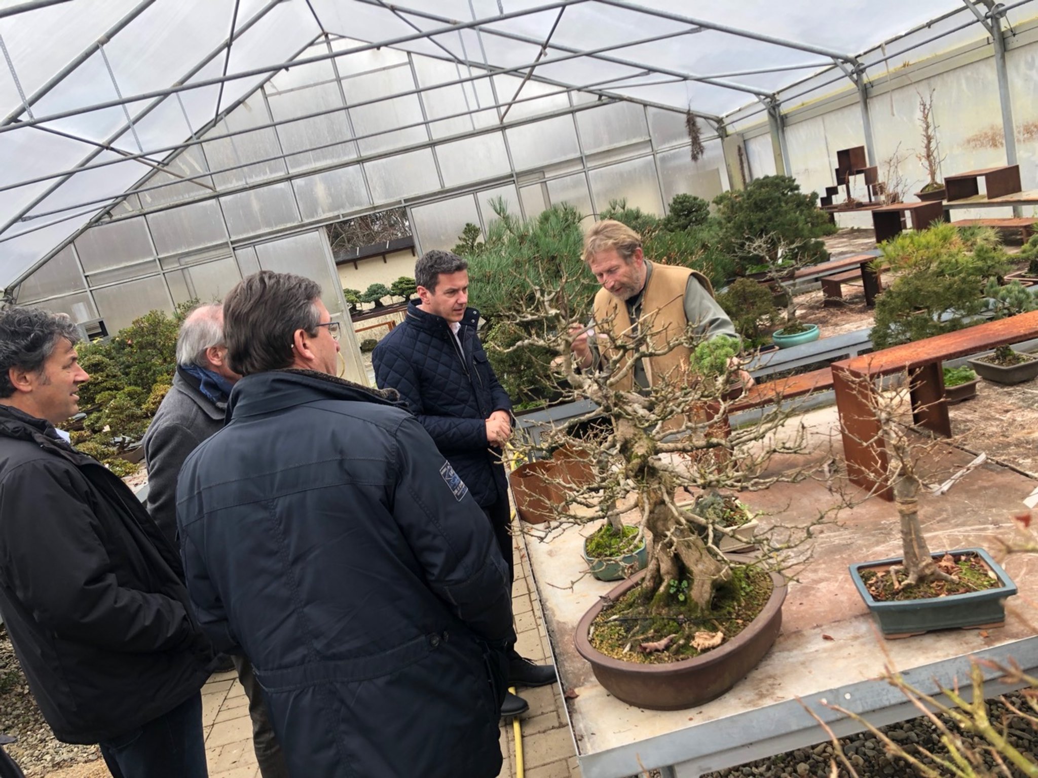 Daniel Fellner: Landesratsbesuch im Bonsai Museum - Spittal