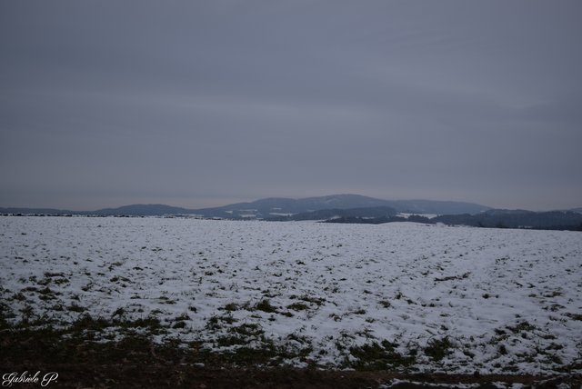 Blick ins Land | Foto: Gabriele P.