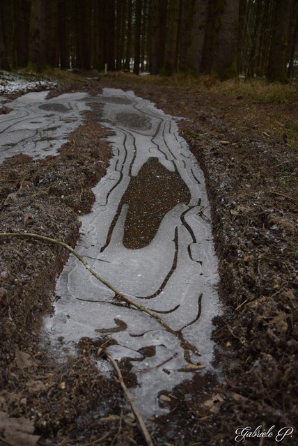 Pfütze wird zum Eiszauber  | Foto: Gabriele P.