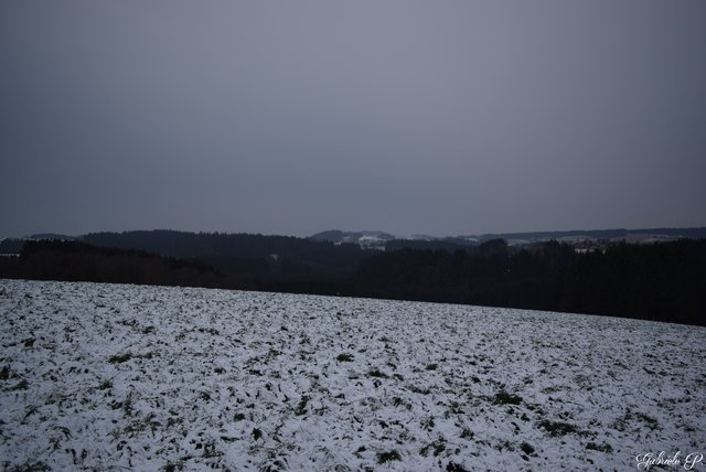 Blick ins Land  | Foto: Gabriele P.