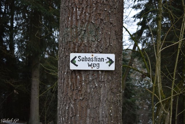 Wegweiser  | Foto: Gabriele P.