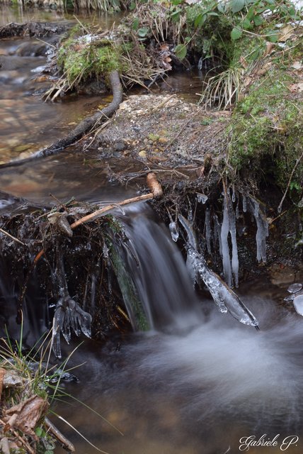 Bächlein  | Foto: Gabriele P.
