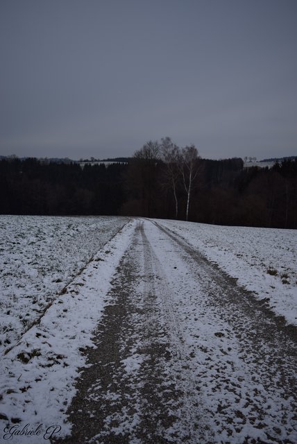 Bergab geht es zum Steg  | Foto: Gabriele P.