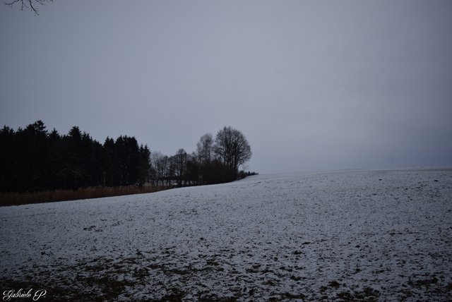 Winterlandschaft  | Foto: Gabriele P.