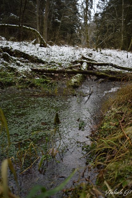 Kösselbach | Foto: Gabriele P.