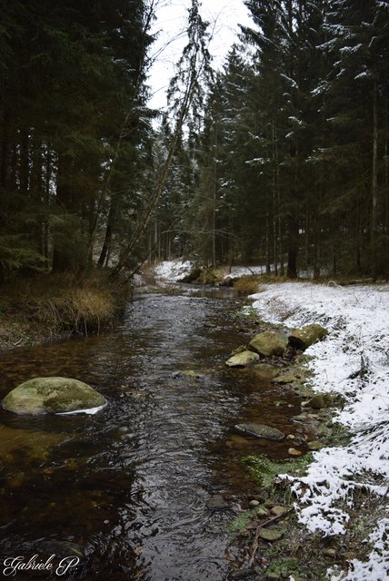 Kösselbach  | Foto: Gabriele P.