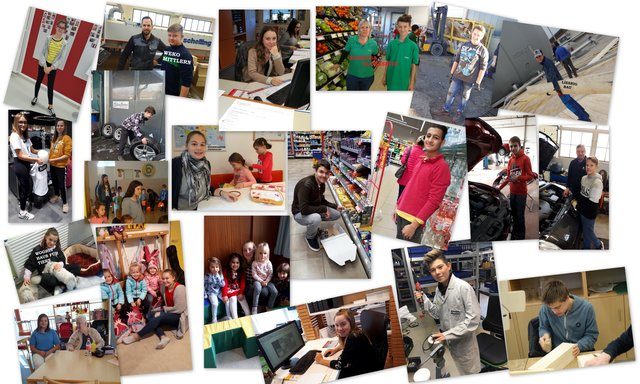 Collage der 4A Klasse beim Schnuppern | Foto: Michael Mistelbauer