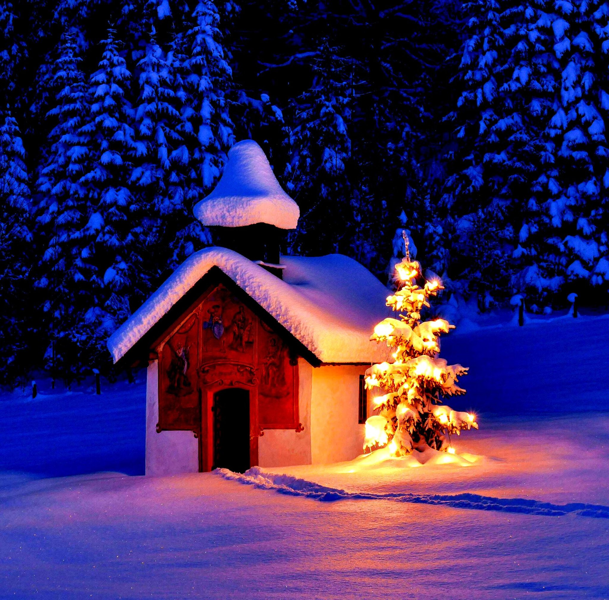 Download Weihnachtszitat For iPhone Free