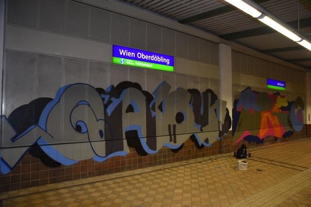 Die Polizei ertappte drei Graffiti-Sprayer auf frischer Tat.  | Foto: LPD Wien