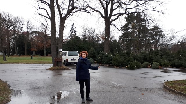 Cordula Höbart (Grüne) findet die Lage des alten Campinglatzes und neuen Parks ideal für einen Eisring.