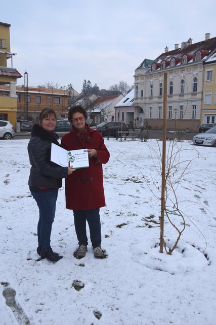 Annemarie Ollinger und Helga Nadler vom Verschönerungsverein Laa.