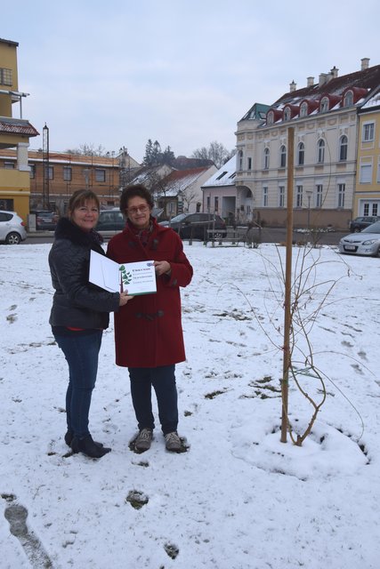 Annemarie Ollinger und Helga Nadler vom Verschönerungsverein Laa.
 | Foto: Mattes