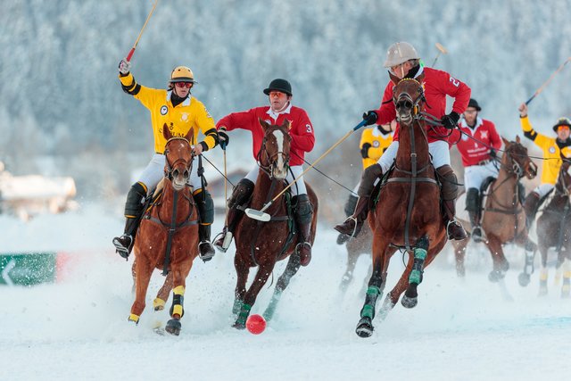 Vom 17. bis 19. Januar treffen sich sechs internationale  Polo-Teams zum Wettkampf in Reith. | Foto: Sasse &amp; Schockemöhle Communications