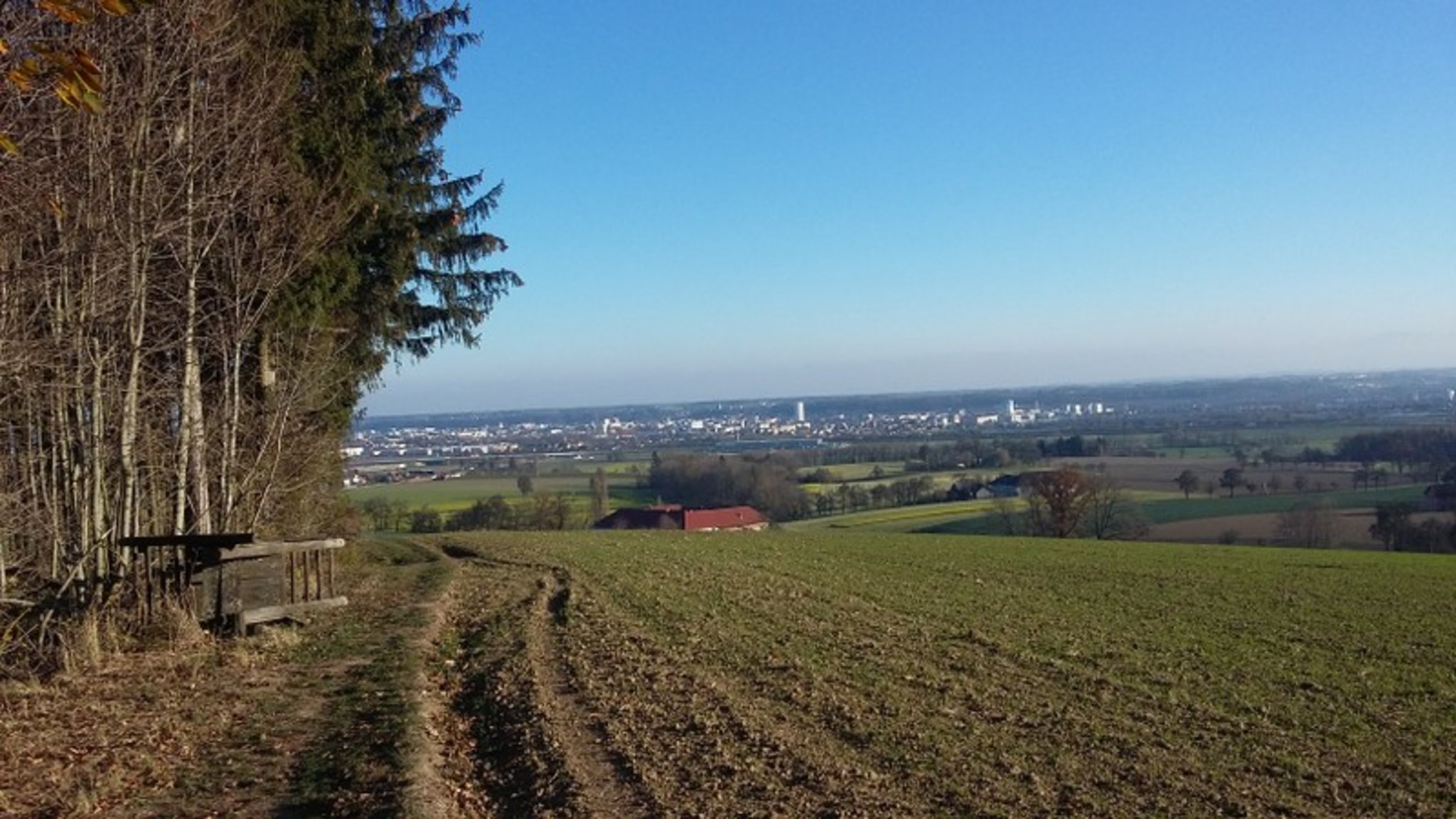 Blick auf Wels - Wels & Wels Land