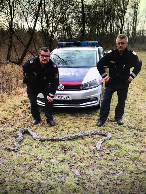 Grafenwörther Polizei wurde zu einem außergewöhnlichen Einsatz gerufen.