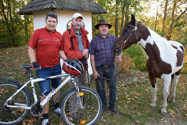 Lumetsberger, Buchberger, Holzweber