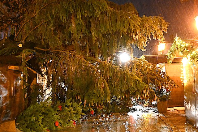 Der Baum stürzte auf Stände des Weihnachtsmarktes. | Foto: Hofinger