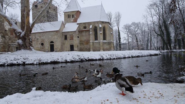 Entenfütterung im Schlosspark Pottendorf