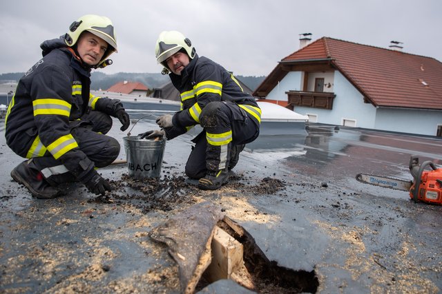 Foto: FOTOKERSCHI.AT / KERSCHBAUMMAYR