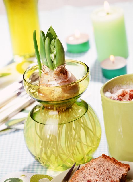 Erste Frühlingsboten im Glas. | Foto:  fotolia