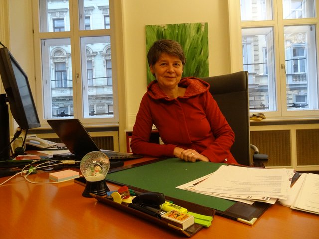 Nach einem Jahr voller Planung und Tatenkraft zeigt sich die Bezirksvorsteherin zufrieden. | Foto: Kiesenhofer