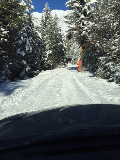 Die Rodelbahn auf der Rumer Alm.