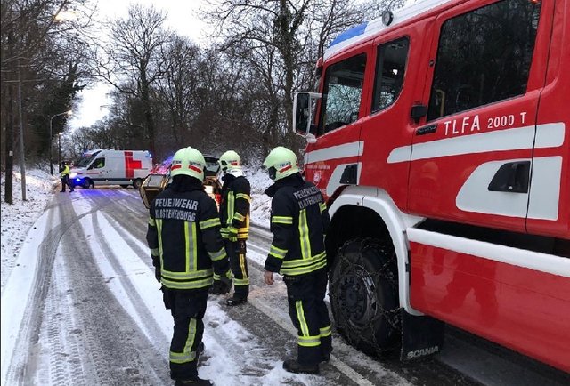 Die Lenkerin verlor die Kontrolle über ihr Fahrzeug. | Foto: Freiwillige Feuerwehr Klosterneuburg