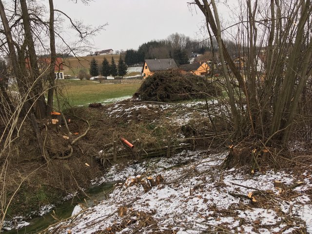 Die Schlägerungen am Lehenbach waren behördlich noch nicht endgültig bewilligt. | Foto: Anna Kaufmann
