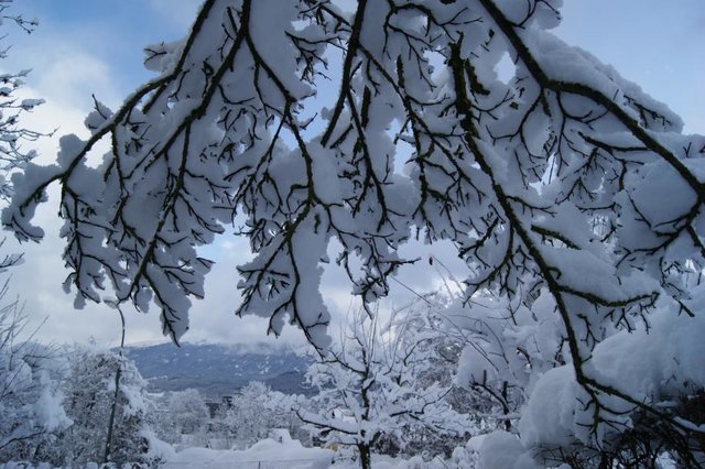Schnee, Schnee, Schnee: Endlich kann man Rodeln – falls es keine Lawinensperre gibt.