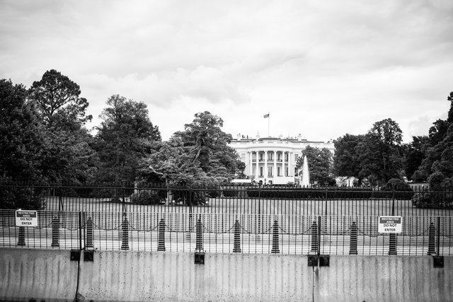 Aus dem Projekt "American Protesters" von Arnold Pöschl | Foto: Arnold Pöschl Photography