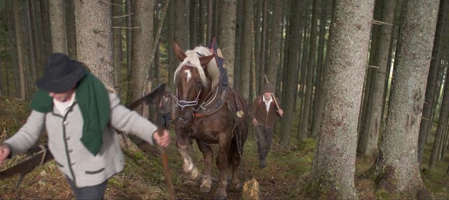 Die Holzknechte beim schweren Aufstieg ins Holz. | Foto: lehrlingderzeit.at