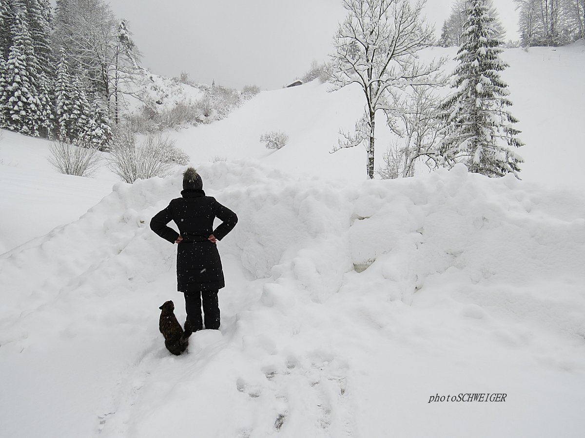 Schneechaos 2019 Schneeflockchen Weissrockchen Jetzt Kommst Du