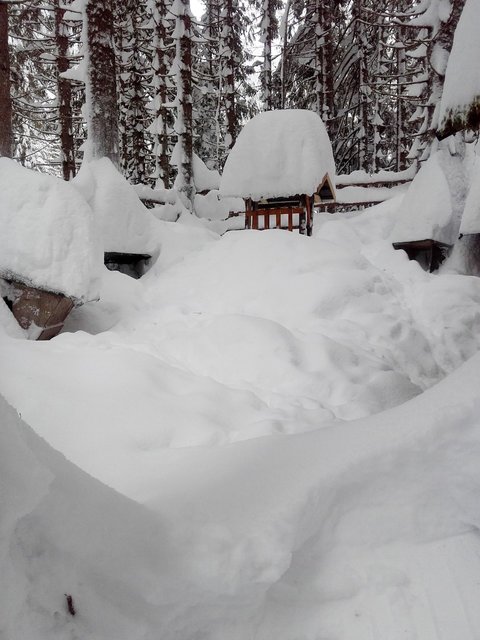 Tiefverschneite Fütterungseinrichtungen in Kitzbühel | Foto: Privat/Tiroler Jägerverband