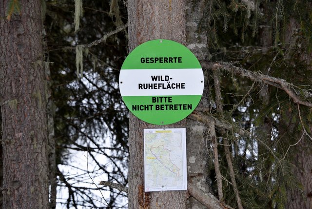 Hinweistafel zu Fütterungsbereichen, welche den Wildtieren als Rückzugsort dienen. | Foto: Tiroler Jägerverband 