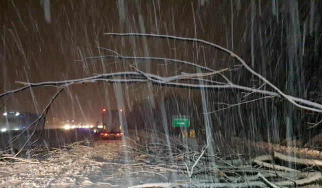 Immer wieder sorgen umgestürzte Bäume, wie hier auf der A12 bei Angath, für Sperren und Behinderungen auf den Straßen im Bezirk Kufstein. Auf einigen Strecken gilt aktuell Schneekettenpflicht.