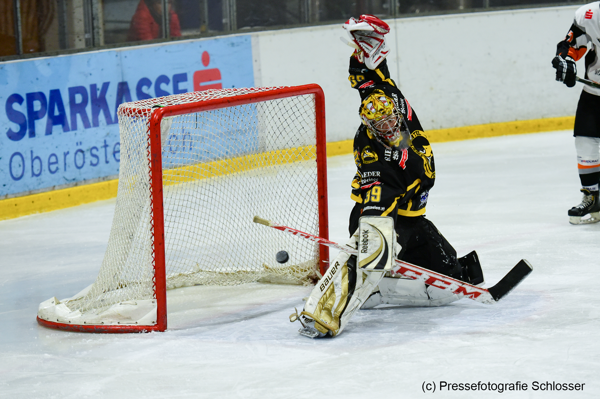 Auch das Match gegen die Ice Tigers Kirchdorf im Dezember verloren die Innviertel Penguins.