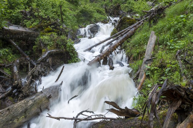 Naturgewalten im Urwald:Reißende Wildbäche und niedergehende Lawinen formen und prägen die Landschaft im Wildnisgebiet Dürrenstein.