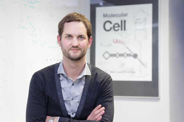 Der Molekularbiologe Stefan Ameres macht Grundlagenforschung. Sein Team forscht zu Gensteuerung. | Foto: IMBA/Michael Sazel