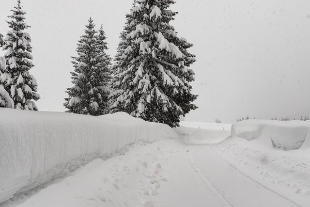 Die Hochwasser-Gefahr steigt in der Region: Ein zu schnelles Schmelzen der Schneemassen in den Mostviertler Bergen könnte zu Hochwässer in Flüssen wie der Erlauf zur Folge haben. | Foto: Theo Kust