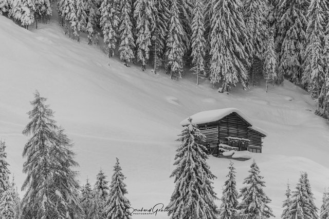 Winter: Winter in Schwarz-Weiß - Landeck