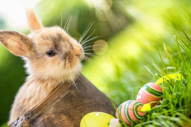 Das Urteil des EuGH könnte bereits den Karfreitag im April 2019 betreffen.