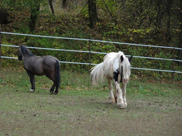 Hey Mimi, dein Besuch ist da!!!   &gt;&gt;&gt;&gt;&gt;&gt;&gt;   Jaaa, ... super, ... na, da bin ich aber happy! ...  Wartet, ... ich komme schon!!!