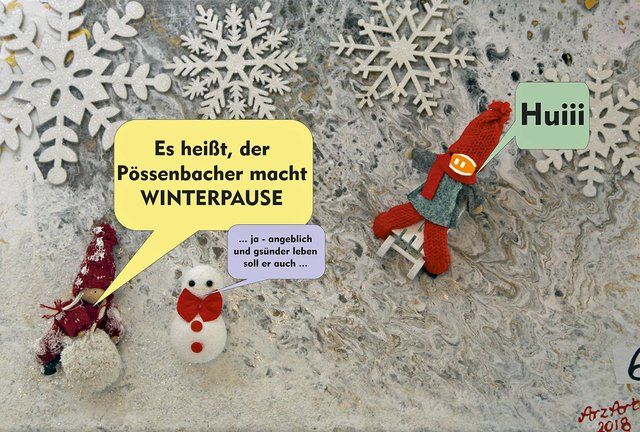 Collage Margit Arz | Foto: Text: Roland Pössenbacher