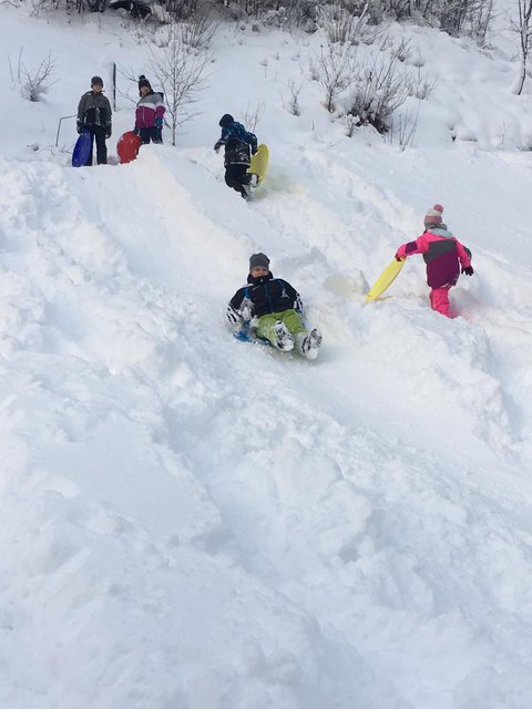 Nachmittagsbetreuung in der VS Rosenau