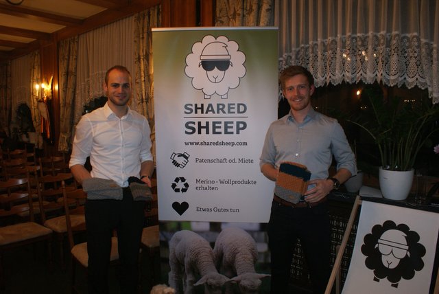 Shared Sheep: Schafe im Einsatz als "Rasenmäher".