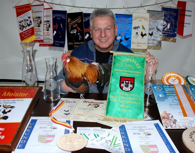 Kurt Scheidnagl mit den Trophäen und Urkunden des vergangenen Jahres und seinem Champion-Hahn. | Foto: Reiter