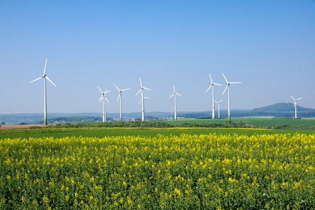 Umwelt-Landesrat Rudi Anschober greift der Klimaplan zu kurz, erfordert Sofortmaßnahmen wie den raschen Umstieg auf erneuerbare Energien. | Foto: elxeneize/Fotolia