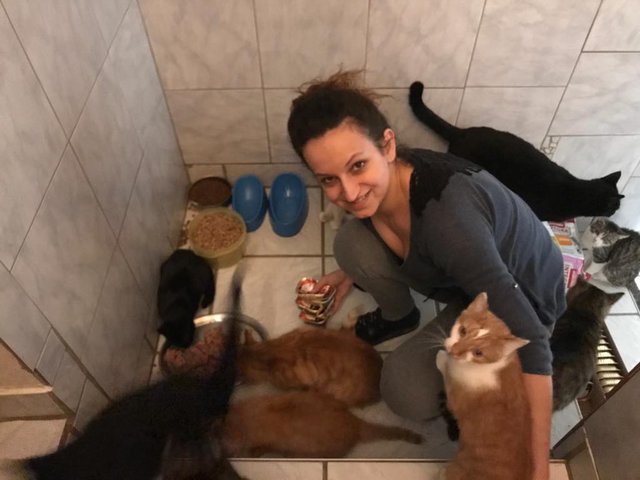 Bettina Bernadowitsch mit ihren Katzen in der Katzenhoffnung Steiermark - ein Paradies für Handicats. | Foto: KK